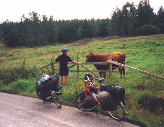 Klicka p bilden fr att skicka den som ett vykort