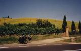 Toscana 1998 - Klicka fr en strre version