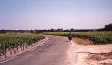 Medoc-halvn 1999 - Klicka fr en strre version