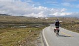 Hardangervidda 2004 - Klicka fr en strre version