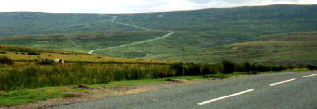 Hedlandskap