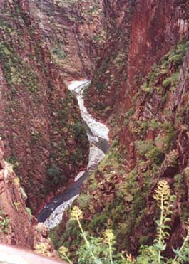 Gorges de Daluis