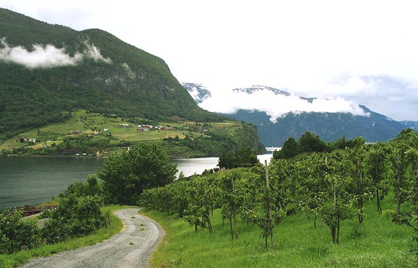 Sognefjorden.