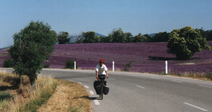Genom lavendelflt i Provence.